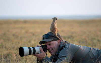 Exposure Triangle in Wildlife Photography
