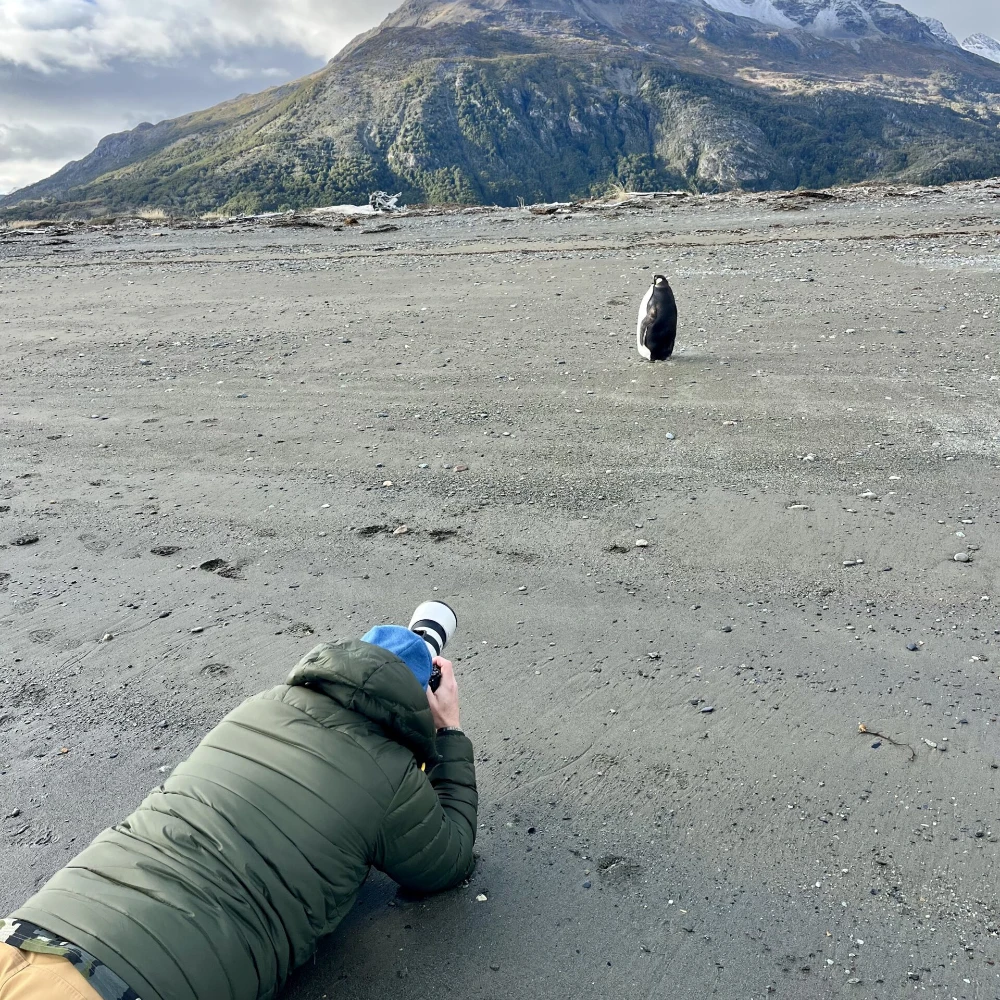 James lying on the ground taking a photo of a penguin with mountains in the distance